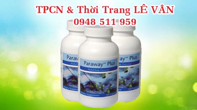 Trinh Thi Khanh Van